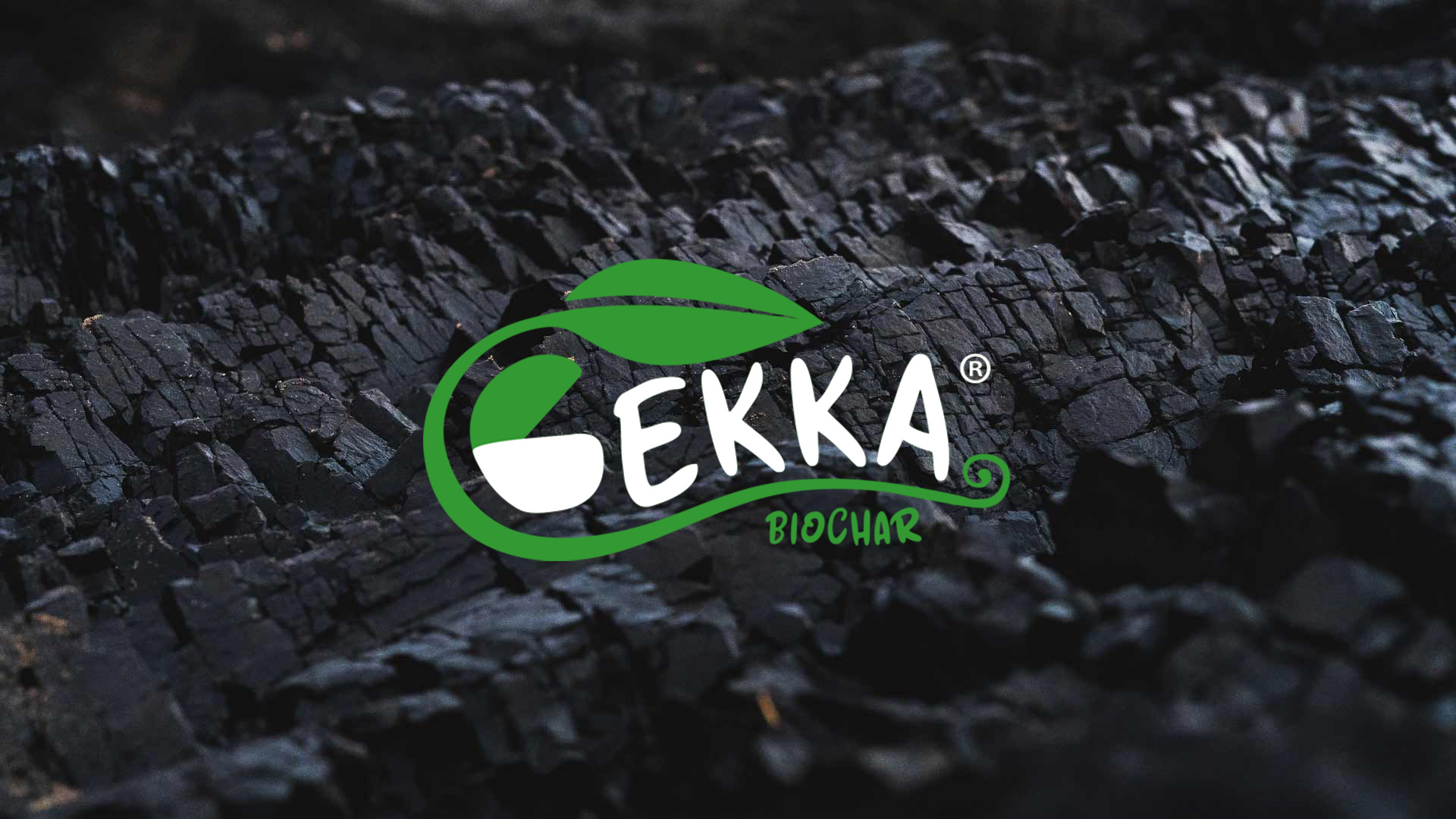 GEKKA Amendament Ecologic Sol Îngrășământ Foliar Organic BIO